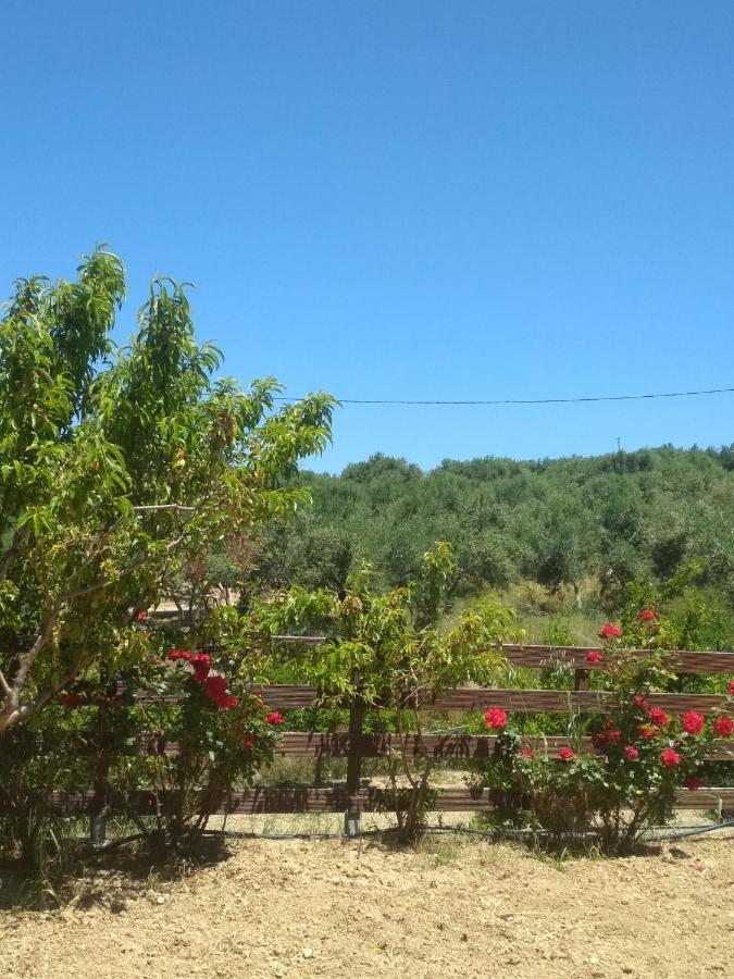 Eden Garden Villa Near Knossos Skalanion Exterior photo